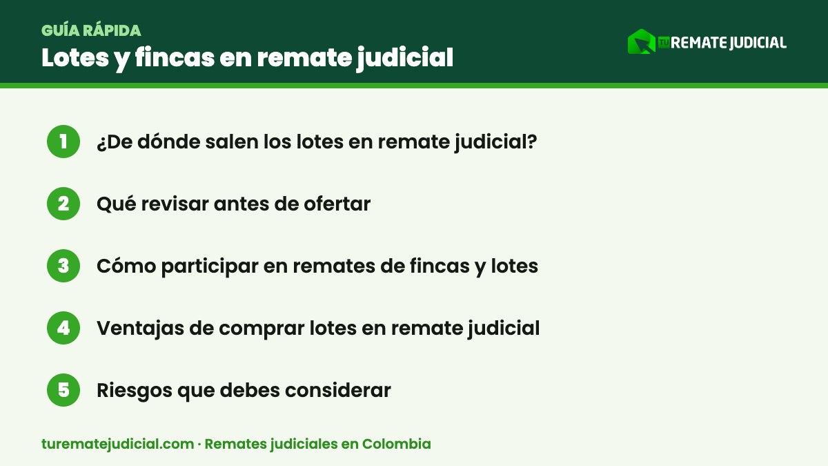 Infografía: lotes en remate judicial – resumen