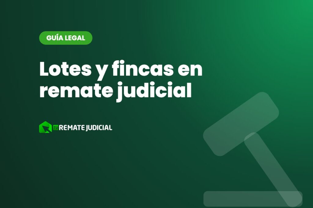 Lotes y fincas en remate judicial: qué revisar antes de comprar