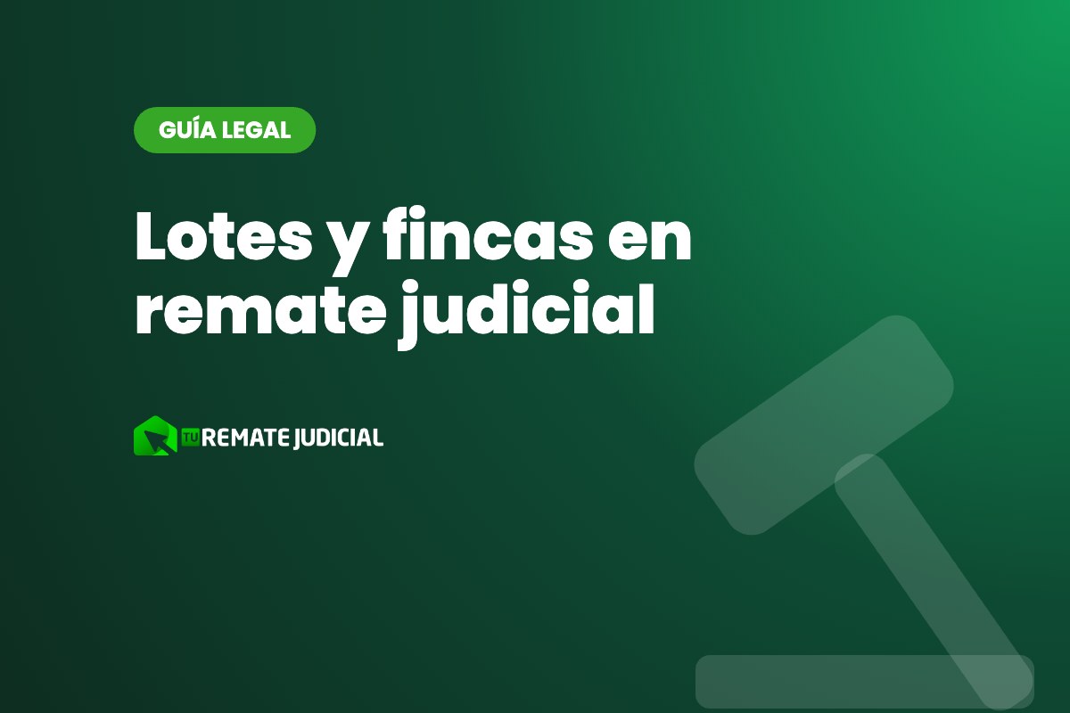 Lotes y fincas en remate judicial: qué revisar antes de comprar