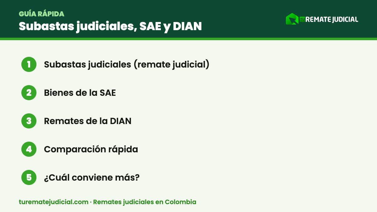 Infografía: subastas judiciales – resumen